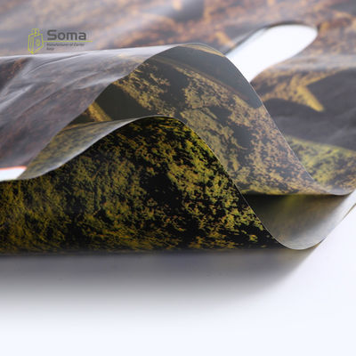 Biodegradable Shopping Custom Full Color Printed Plastic Bag
