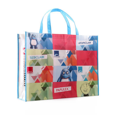 Ink Printing OPP Laminated Shopping Non Woven Packaging Bags