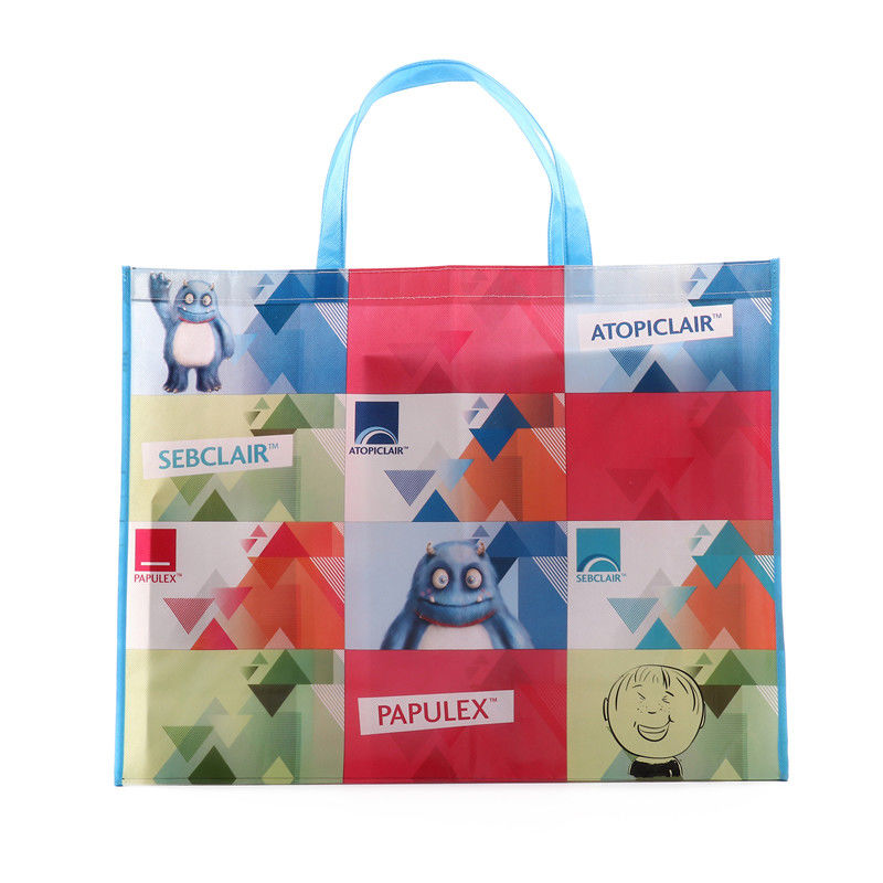 Ink Printing OPP Laminated Shopping Non Woven Packaging Bags